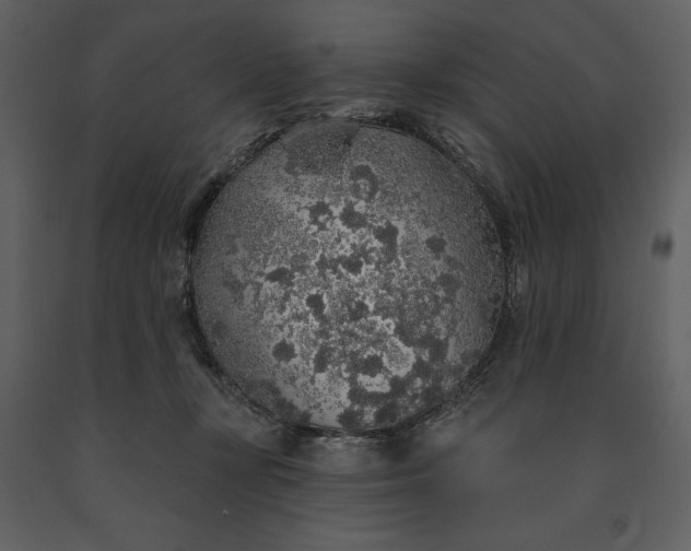 X0000091210367200708231613