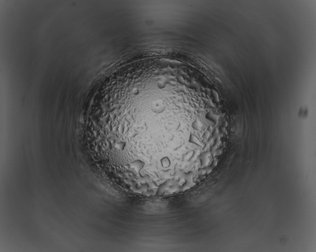 X0000091210369200708231613