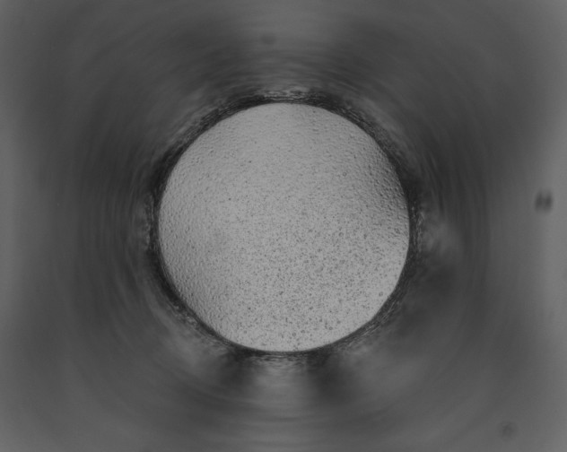 X0000091210370200708231613