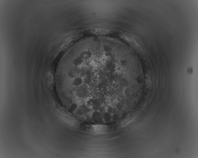 X0000091210371200708231613