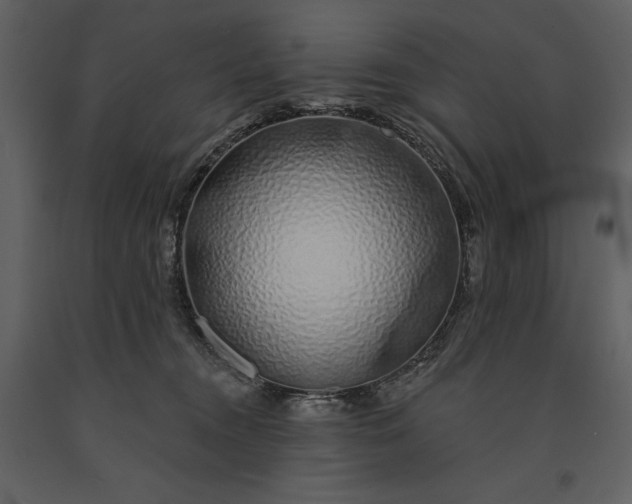 X0000091210372200708231613