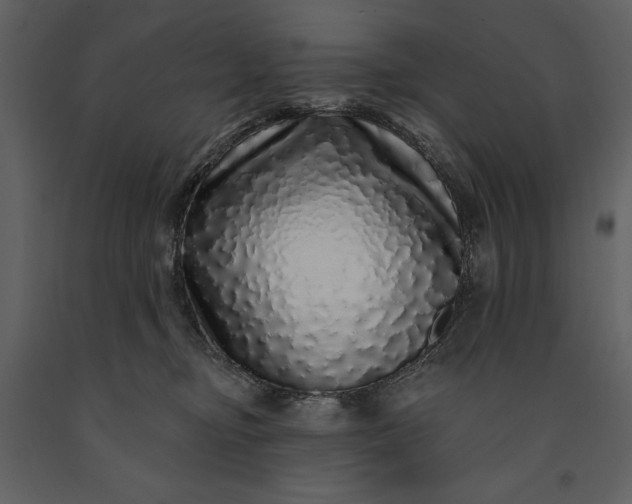 X0000091210374200708231613