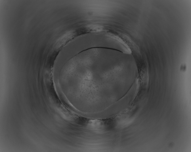 X0000091210376200708231613