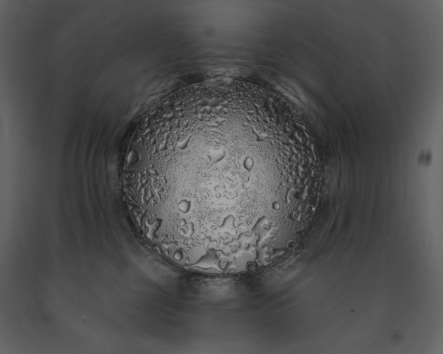 X0000091210377200708231613