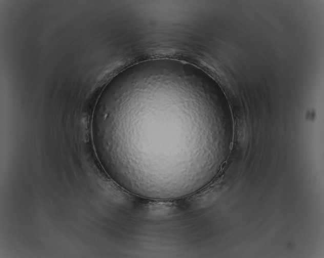 X0000091210378200708231613