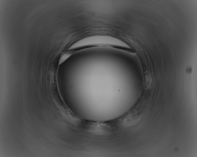 X0000091210379200708231613