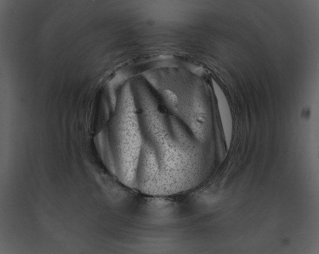 X0000091210380200708231613