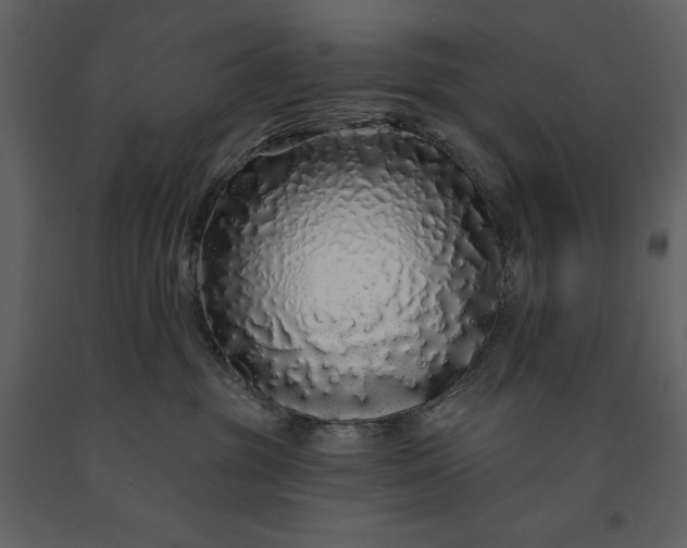 X0000091210381200708231613