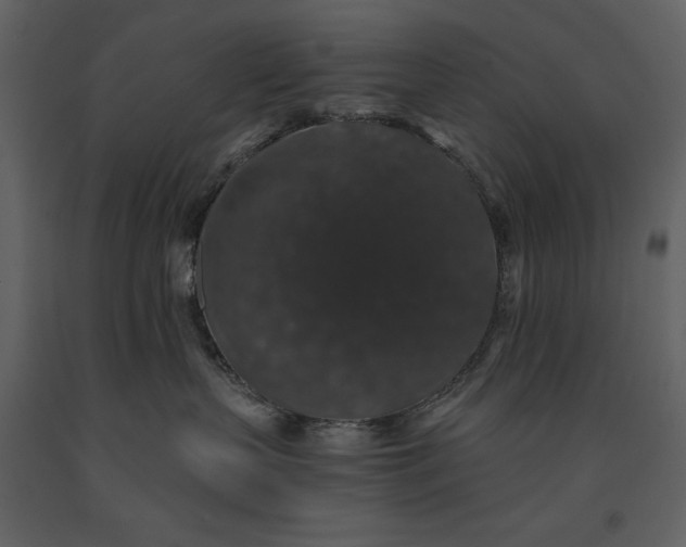 X0000091210383200708231613