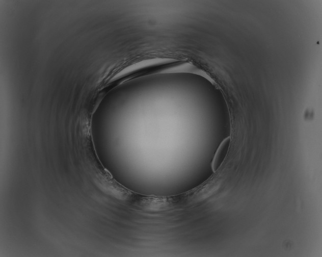 X0000091210384200708231613