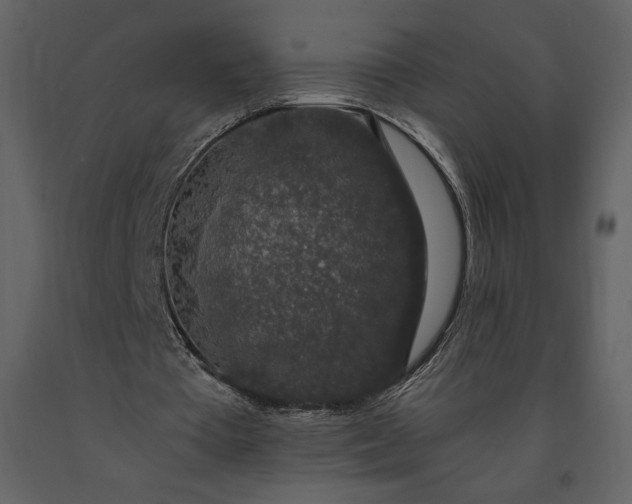 X0000091210385200708231613