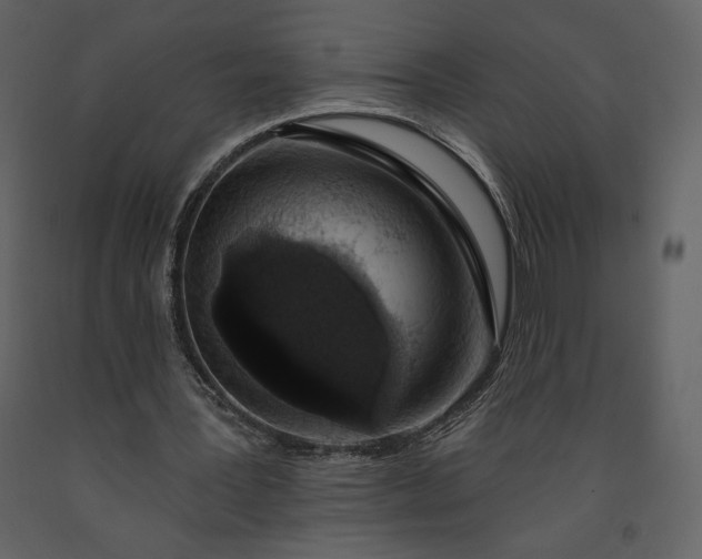 X0000091210387200708231613