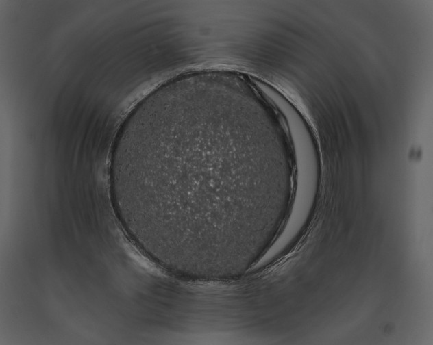 X0000091210389200708231613