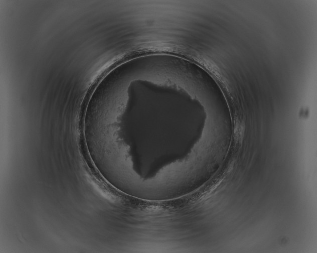 X0000091210390200708231613