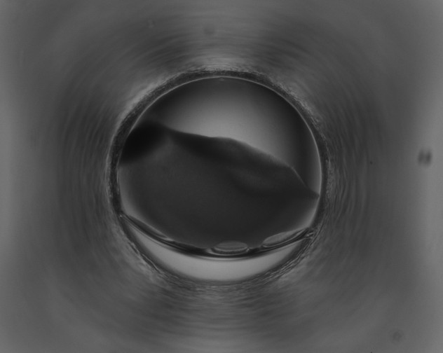 X0000091210391200708231612