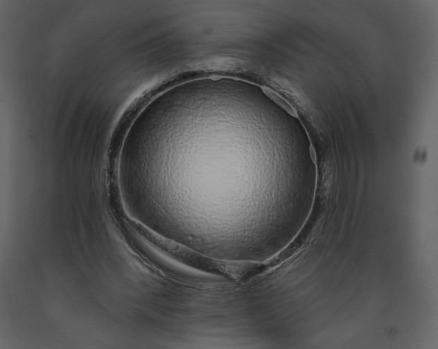 X0000091210392200708231612