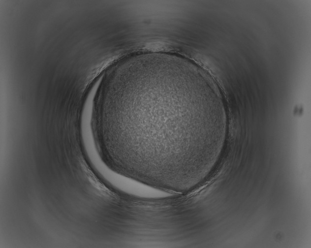 X0000091210393200708231612