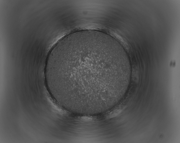 X0000091210394200708231612