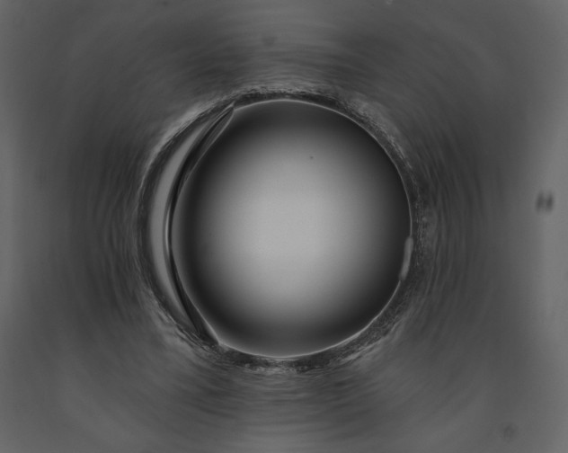 X0000091210395200708231612