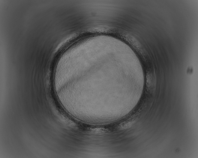 X0000091210396200708231612