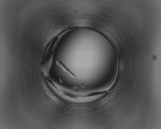 X0000091210397200708231612