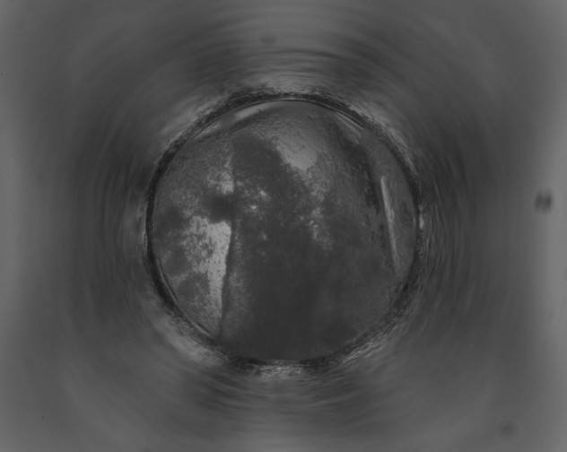 X0000091210398200708231612