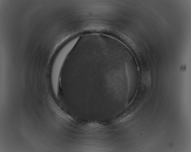 X0000091210399200708231612