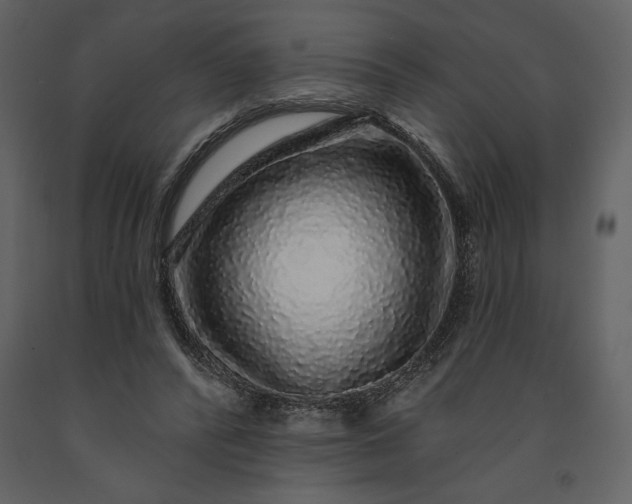 X0000091210400200708231612