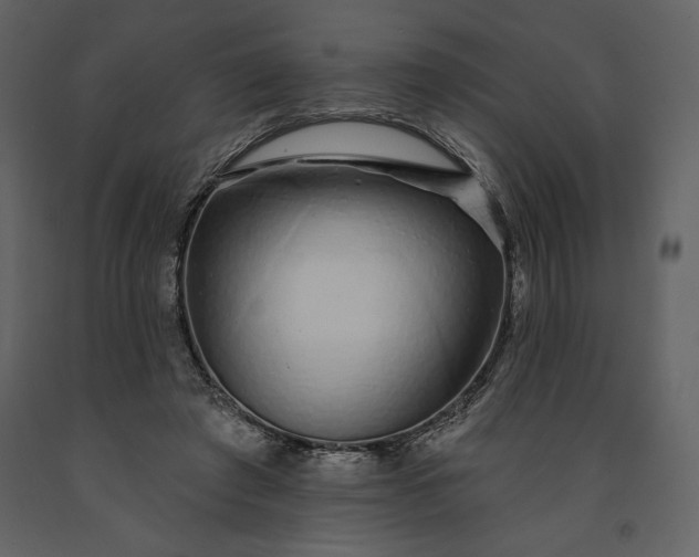 X0000091210401200708231612