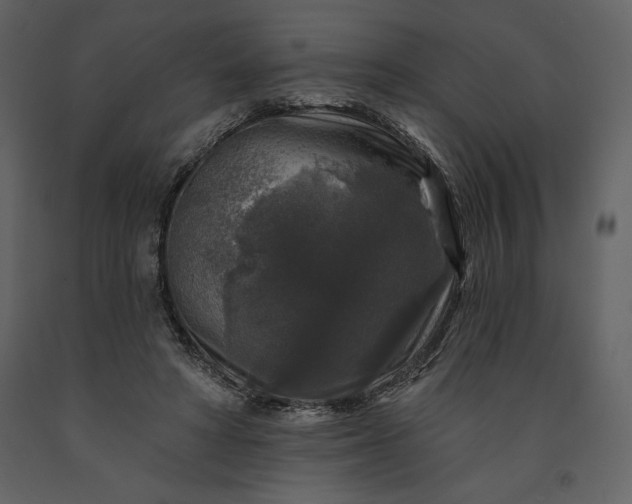 X0000091210402200708231612