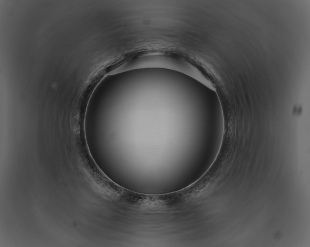 X0000091210403200708231612