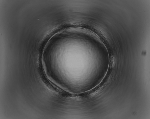 X0000091210404200708231612