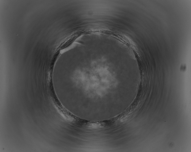 X0000091210405200708231612