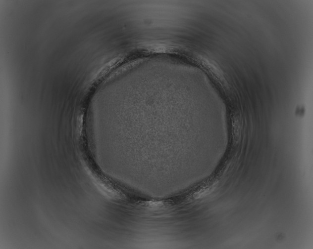 X0000091210406200708231612