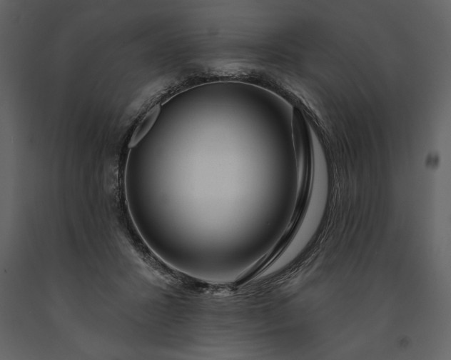 X0000091210407200708231612