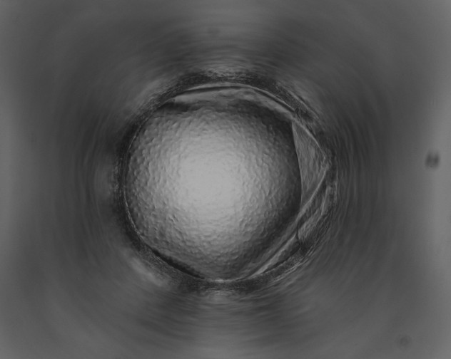 X0000091210408200708231612