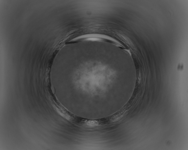 X0000091210409200708231612