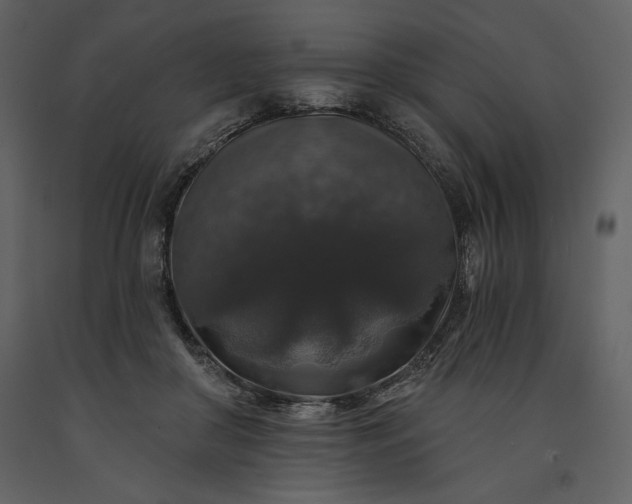 X0000091210410200708231612