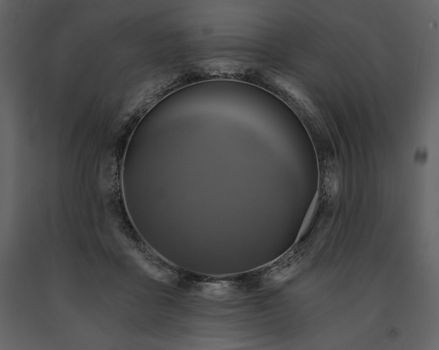 X0000091210411200708231612