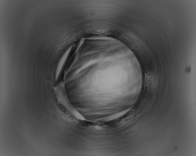 X0000091210412200708231612