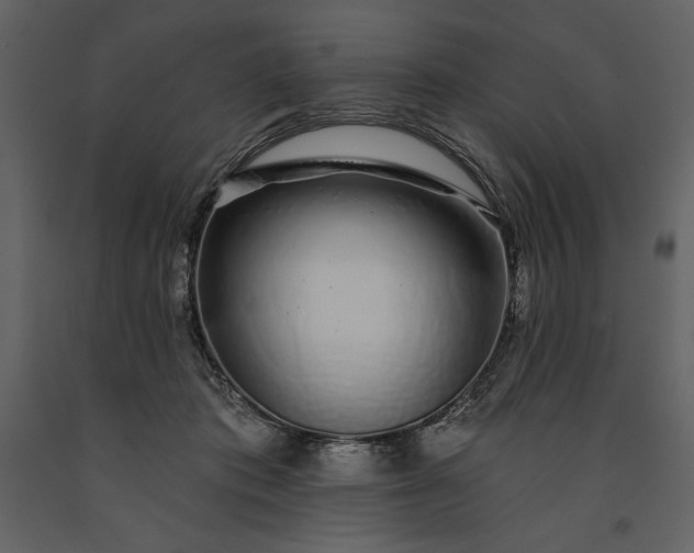 X0000091210413200708231612