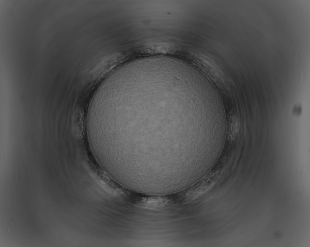 X0000091210414200708231612