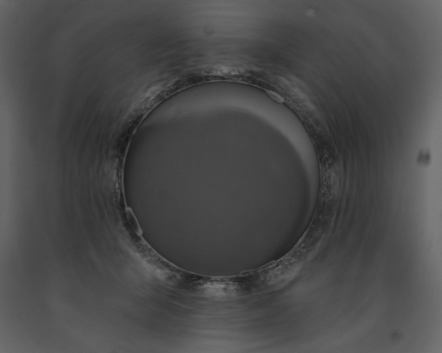 X0000091210415200708231612