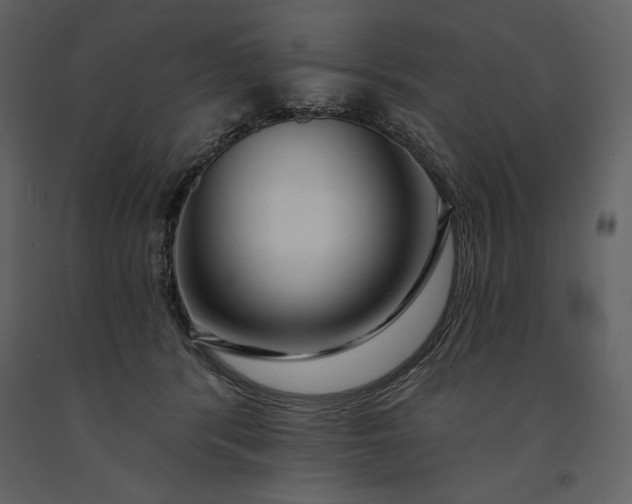 X0000091210416200708231612