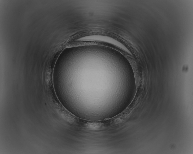 X0000091210417200708231612