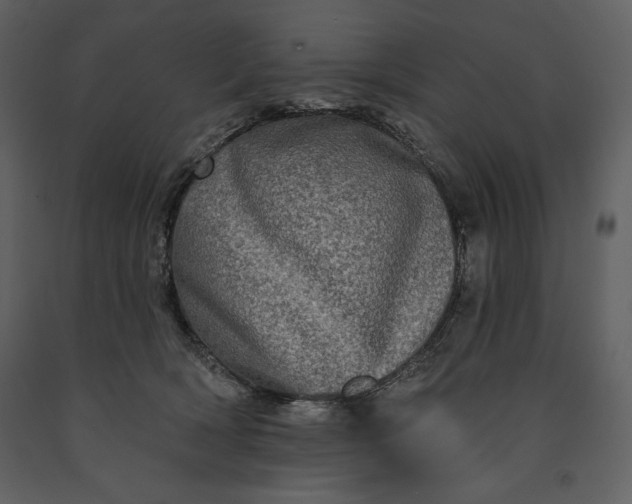 X0000091210418200708231612