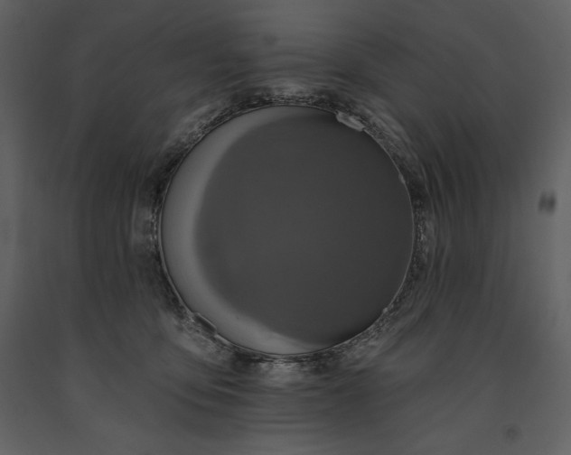 X0000091210419200708231612