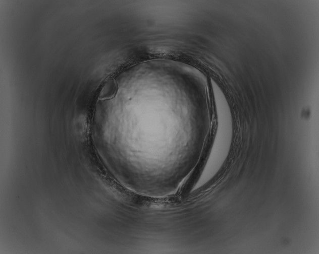 X0000091210420200708231612