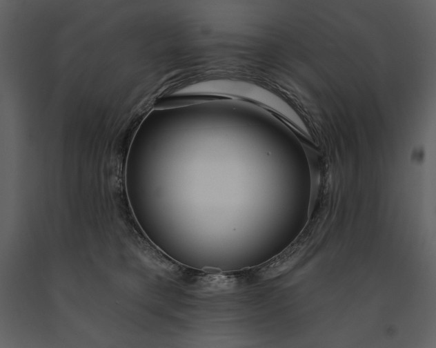 X0000091210421200708231612