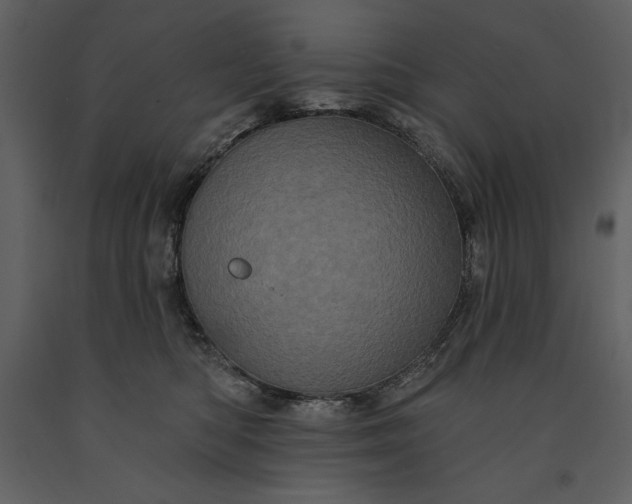 X0000091210422200708231612